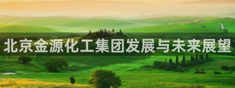 球盟会官网：北京金源化工集团发展与未来展望