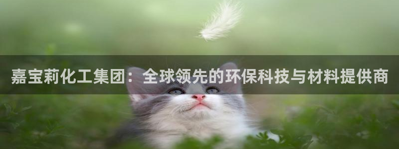 球盟会官方下载：嘉宝莉化工集团：全球领先的环保科技与材料提供