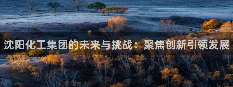 球盟会电子好下吗：沈阳化工集团的未来与挑战：聚焦创新引领发展