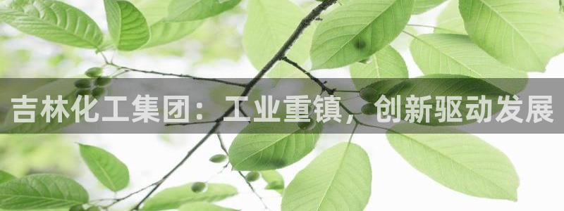 球盟会福利码2023最简单三个步骤：吉林化工集团：工业重镇，