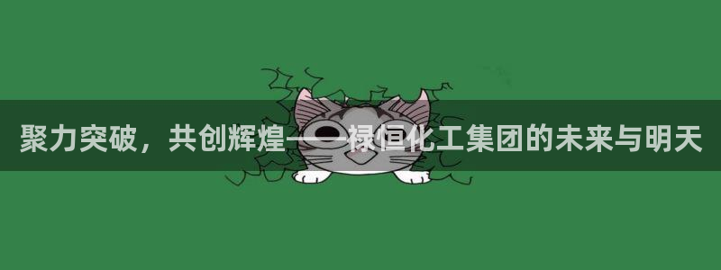 球盟会app：聚力突破，共创辉煌——禄恒化工集团的未来与明天