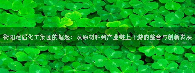 球盟会可以提现么：衡阳建滔化工集团的崛起：从原材料到产业链上
