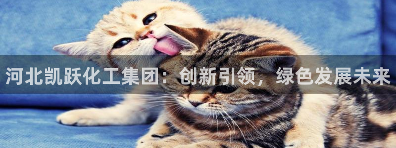 球盟会贴吧：河北凯跃化工集团：创新引领，
