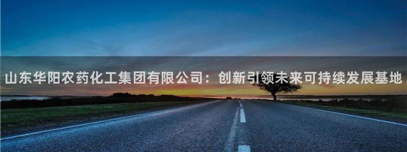 球盟会综合app下载：山东华阳农药化工集