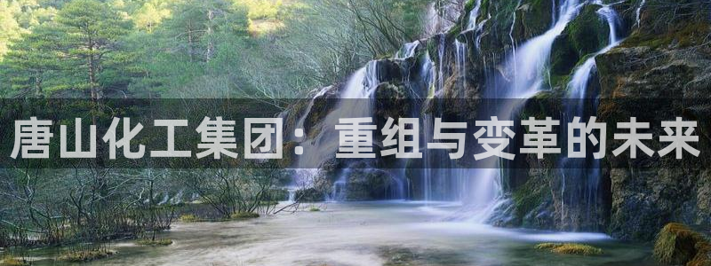 球盟会官方网站是什么：唐山化工集团：重组与变革的未来