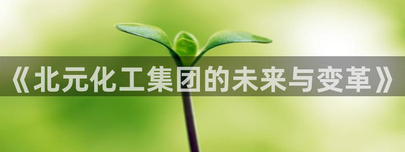 球盟会官方网址入口：《北元化工集团的未来与变革》