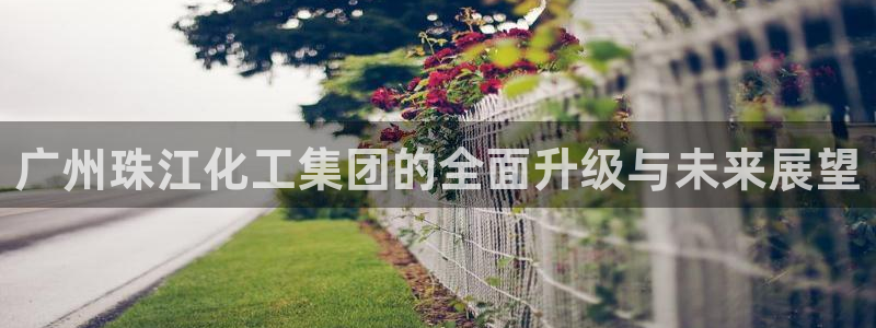 球盟会网页版：广州珠江化工集团的全面升级与未来展望