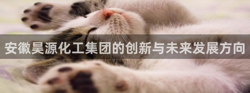 球盟会封号：安徽昊源化工集团的创新与未来发展方向