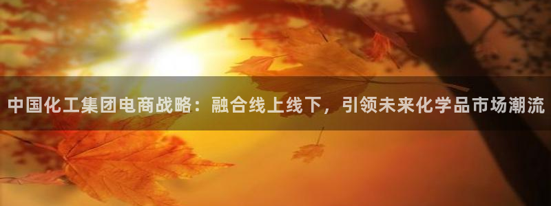 球盟会头号玩家：中国化工集团电商战略：融合线上线下，引领未来
