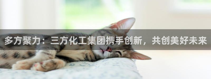 球盟会出款黑了：多方聚力：三方化工集团携手创新，共创美好未来
