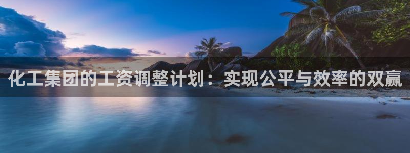 球盟会官方客服：化工集团的工资调整计划：实现公平与效率的双赢