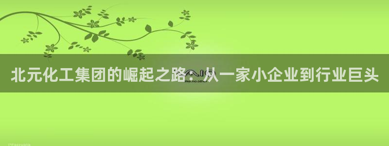 球盟会黑款吗知乎文章：北元化工集团的崛起之路：从一家小企业到