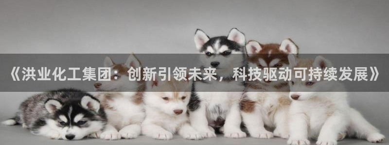 球盟会在线登入：《洪业化工集团：创新引领未来，科技驱动可持续