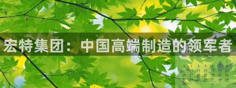 球盟会qm：宏特集团：中国高端制造的领军者