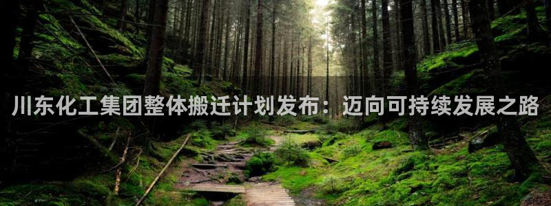 球盟会福利码2023最简单三个步骤：川东化工集团整体搬迁计划