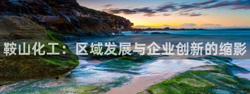 球盟会官方入口：鞍山化工：区域发展与企业创新的缩影
