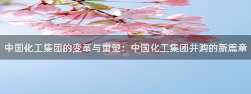 球盟会黑台子吗：中国化工集团的变革与重塑：中国化工集团并购的