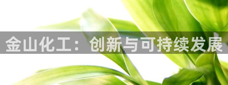 球盟会网址qm9 - 球盟会qmh网页版登录：金山化工：创新