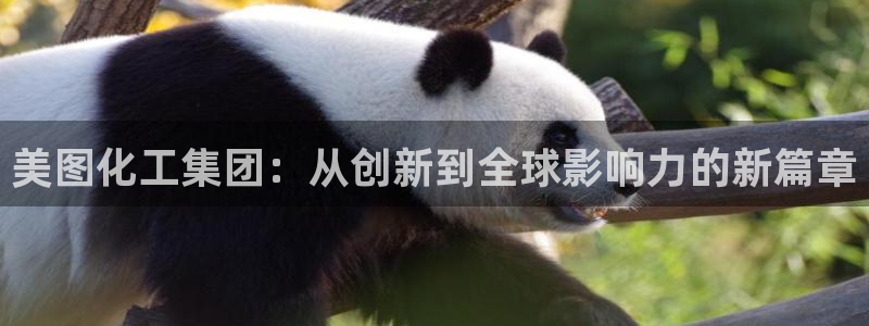 球盟会黑款吗还是白款：美图化工集团：从创新到全球影响力的新篇