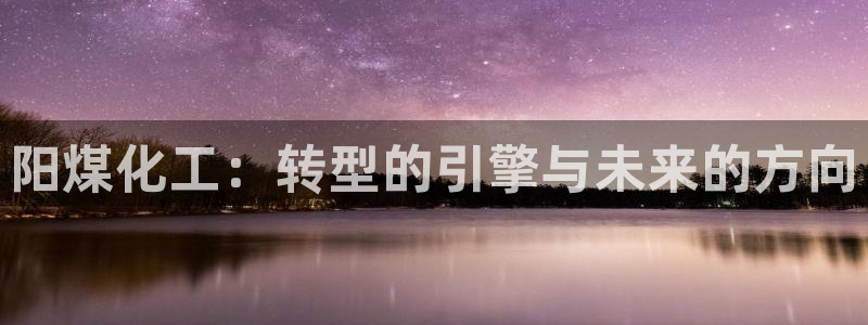 球盟会有没有黑单的活动：阳煤化工：转型的引擎与未来的方向