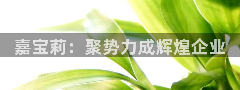 球盟会官方网站入口：嘉宝莉：聚势力成辉煌企业
