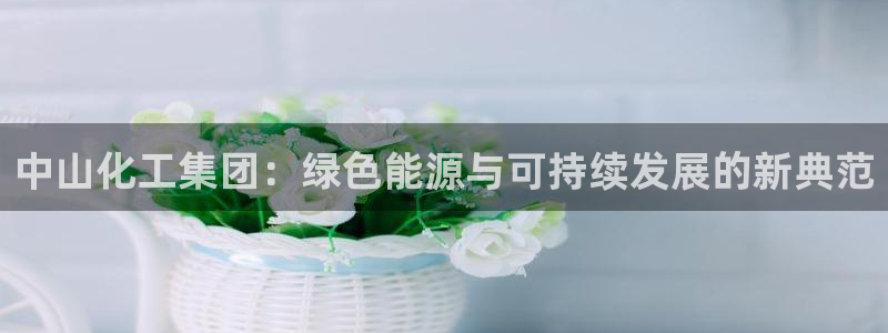 球盟会网页登录app下载地址：中山化工集团：绿色能源与可持续