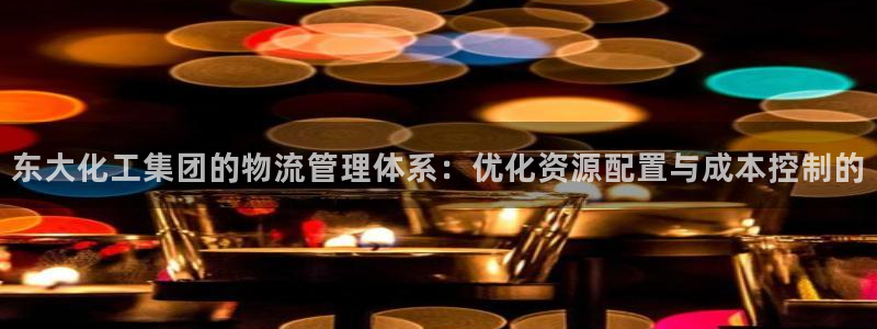 球盟会qm9：东大化工集团的物流管理体系：优化资源配置与成本