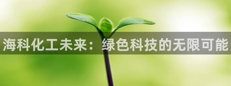 球盟会官网入口：海科化工未来：绿色科技的无限可能