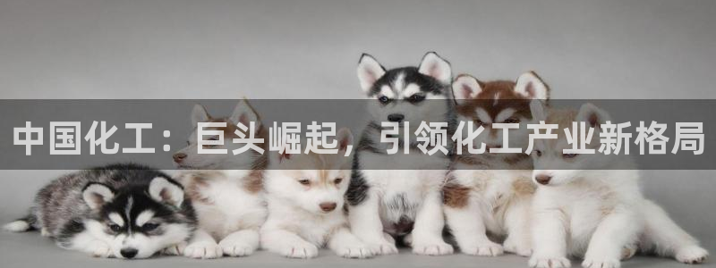 球盟会有没有黑单的活动