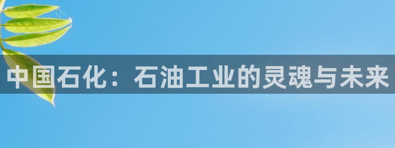 球盟会国际官网：中国石化：石油工业的灵魂与未来