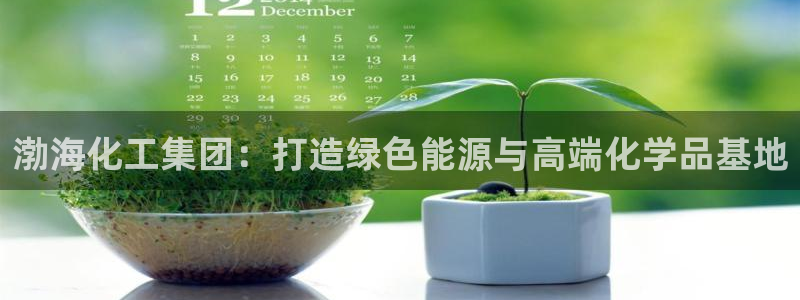 球盟会网页版：渤海化工集团：打造绿色能源与高端化学品基地