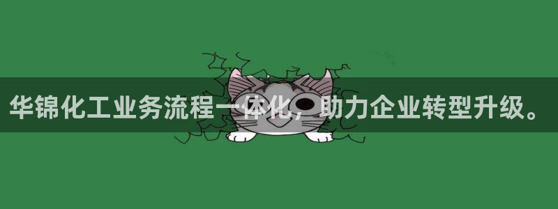 球盟会电子：华锦化工业务流程一体化，助力企业转型升级。