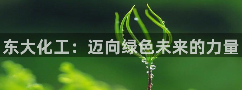 球盟会qmh - 球盟会官方网站：东大化工：迈向绿色未来的力