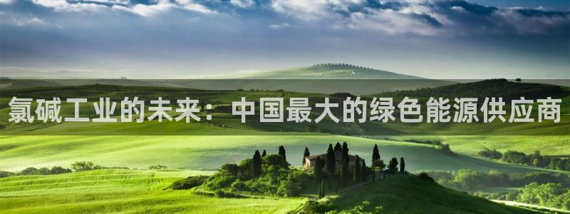 球盟会黑平台：氯碱工业的未来：中国最大的绿色能源供应商