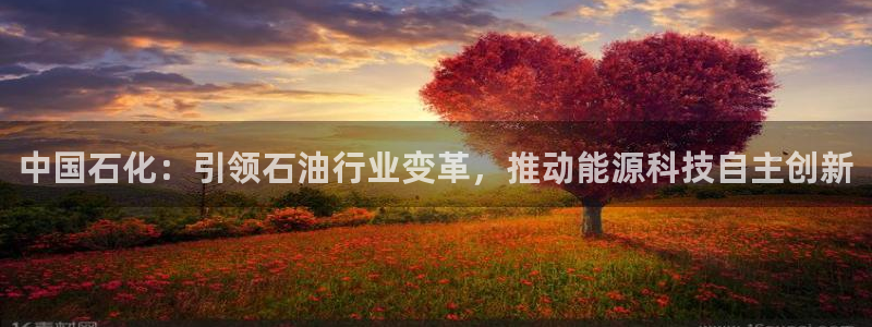 球盟会下载最新版：中国石化：引领石油行业变革，推动能源科技自