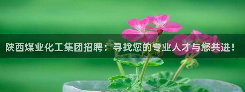 球盟会官方网页登录