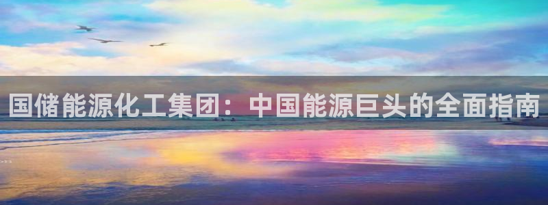 球盟会官网登录入口：国储能源化工集团：中国能源巨头的全面指南