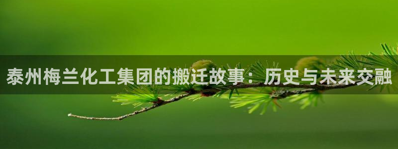球盟会能提现吗安全吗：泰州梅兰化工集团的搬迁故事：历史与未来