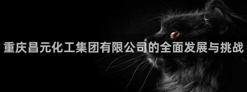 球盟会能提现吗