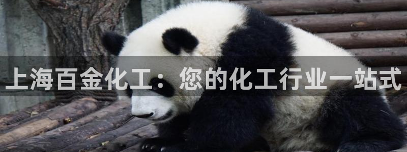 球盟会地址：上海百金化工：您的化工行业一