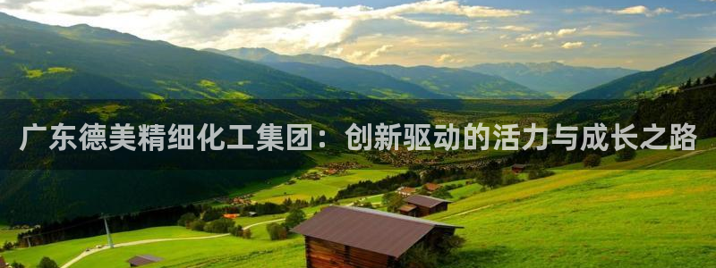 球盟会qm：广东德美精细化工集团：创新驱动的活力与成长之路