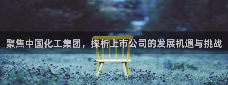 球盟会用的客服聊天是哪个软件：聚焦中国化工集团，探析上市公司