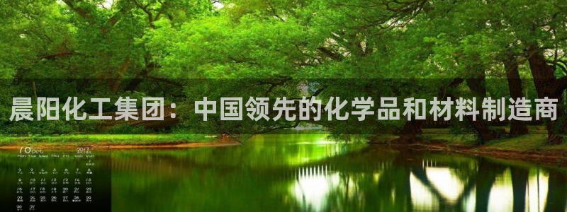 球盟会app最新地址下载：晨阳化工集团：中国领先的化学品和材