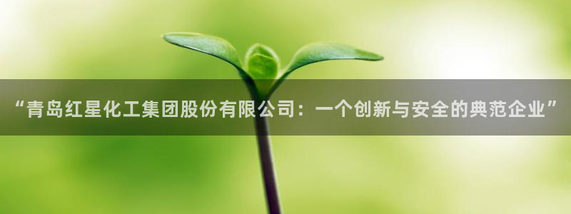 球盟会最新地址备用：“青岛红星化工集团股份有限公司：一个创新