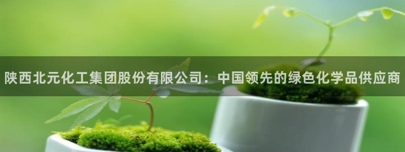 球盟会黑款吗知乎小说