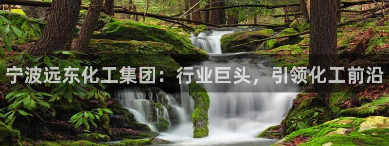 球盟会官方网站app