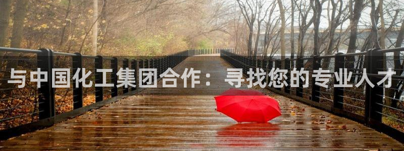 球盟会app最新地址下载