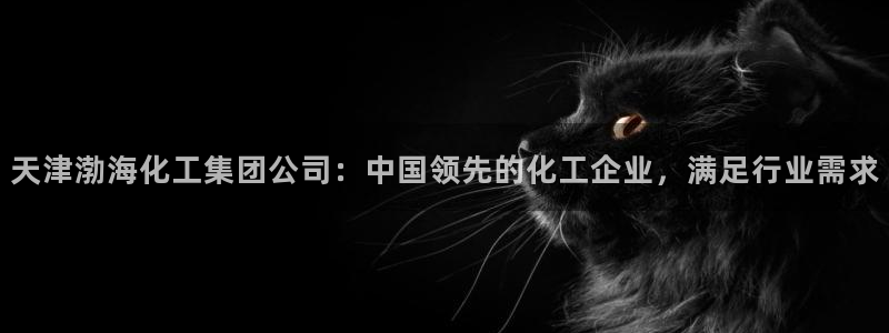 球盟会登录平台入口