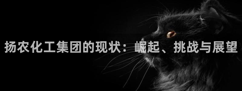 球盟会网页登录app下载地址