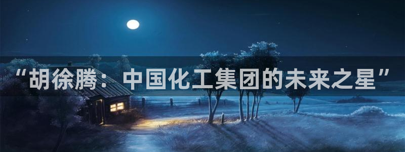 球盟会官方网址入口：“胡徐腾：中国化工集团的未来之星”